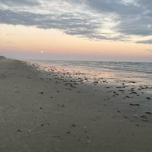 Meet your Posher, Karli